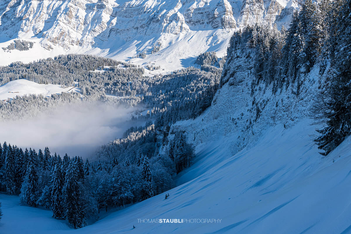 Blich vom Spicherweg Richtung Schwägalp