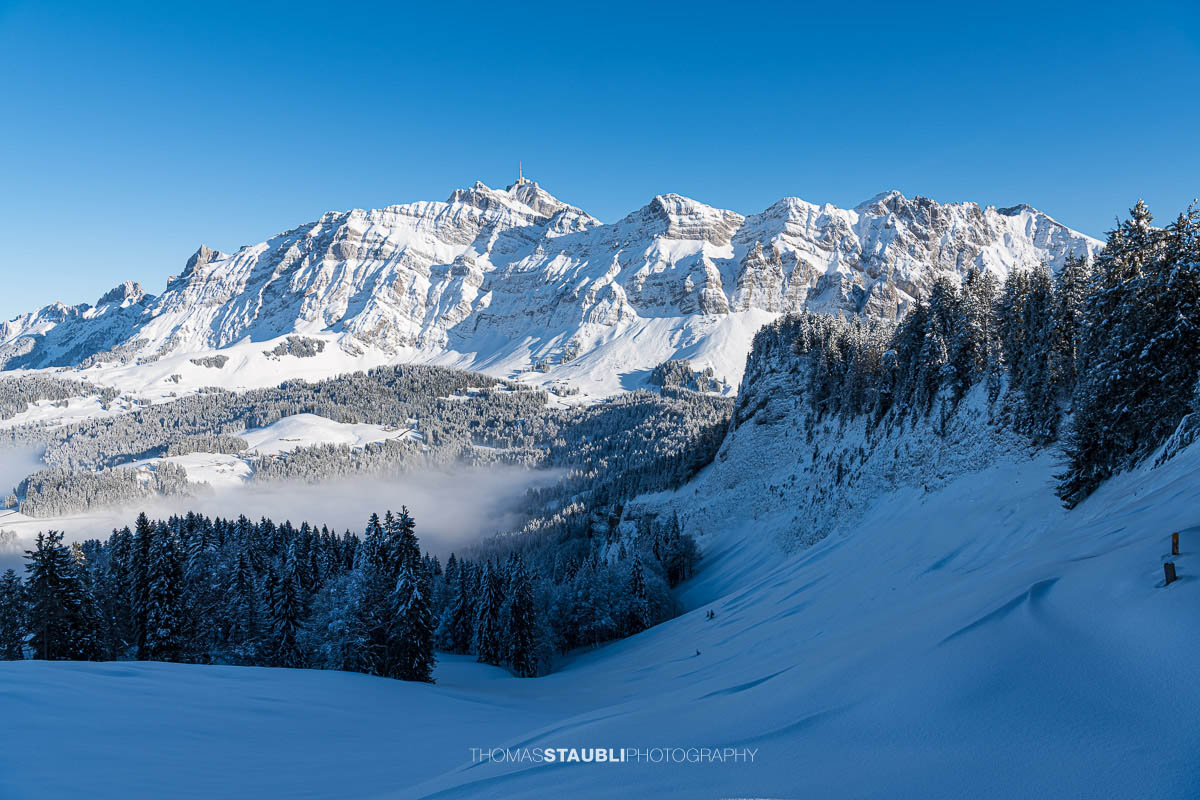 Blich vom Spicherweg zum verschneiten Säntis