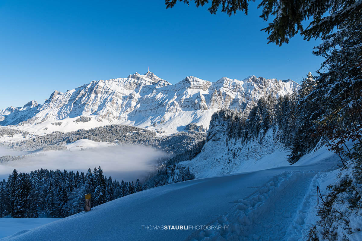 Blich vom Spicherweg zum verschneiten Säntis