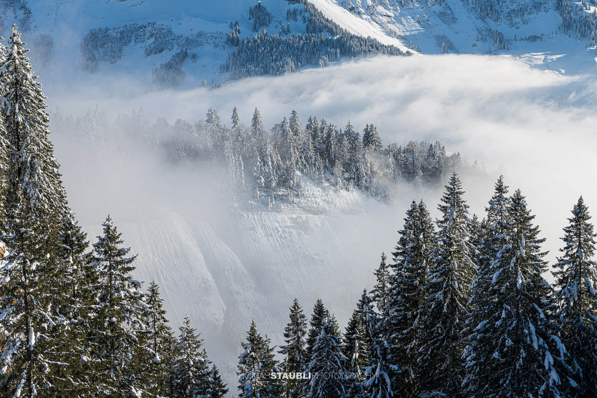 Nebelimpressionen auf dem Spicher