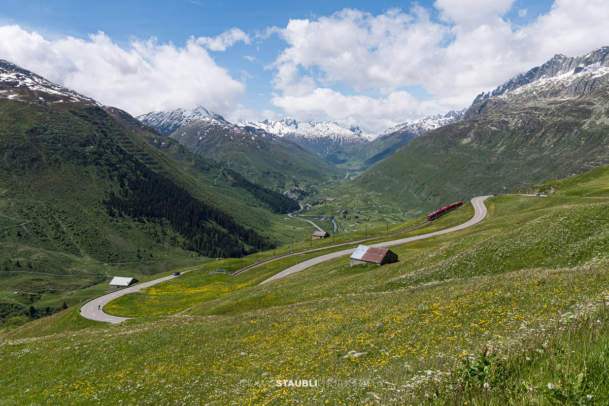 Blumenmeer am Oberalppass