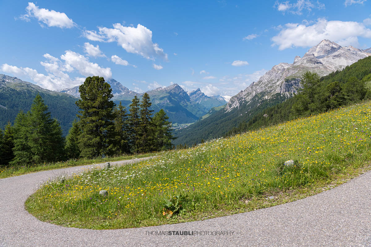 Blick über den Weg nach Seebärga mit Sicht ins Rheinwald und auf die umliegende Berglandschaft