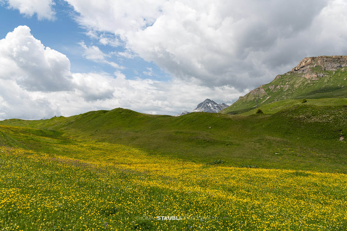 Wolkenhimmel über blühenden Bergwiesen bei Seebärga