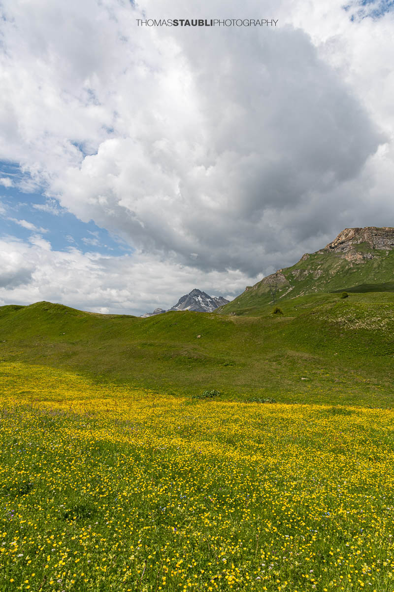Wolkenhimmel über blühenden Bergwiesen bei Seebärga