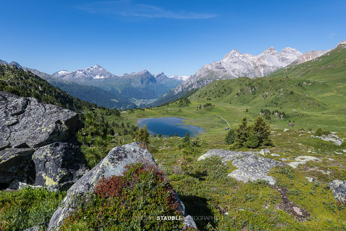 Blick auf den Lai da Vons unter wolkenlosem Himmel mit Sicht auf Pizzo Tambo, Guggernüll, Teurihorn, Steilerhorn und Alperschälihorn