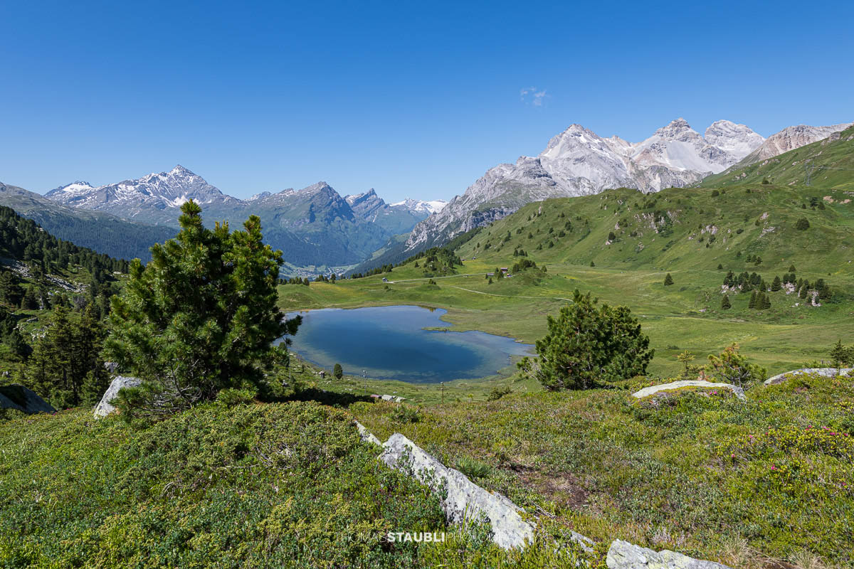 Blick auf den Lai da Vons unter wolkenlosem Himmel mit Sicht auf Pizzo Tambo, Guggernüll, Teurihorn, Steilerhorn und Alperschälihorn