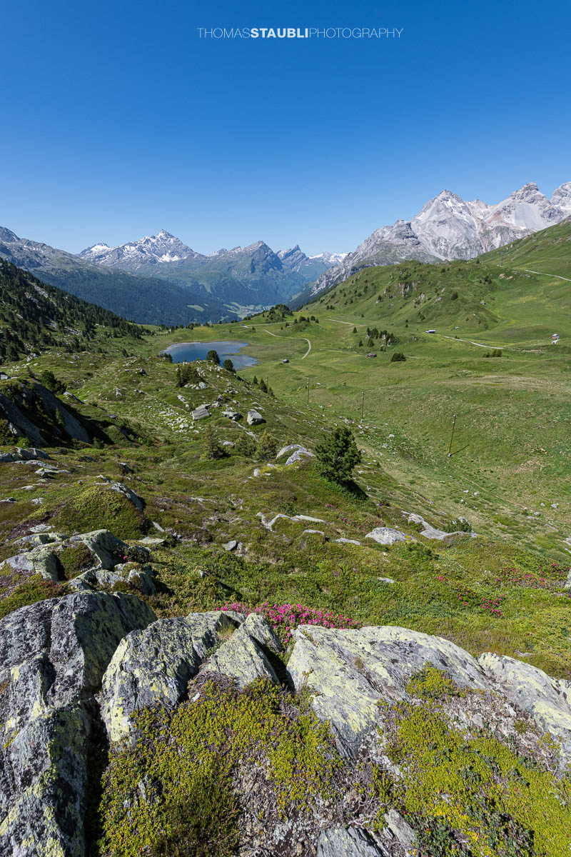 Blick auf den Lai da Vons unter wolkenlosem Himmel mit Sicht auf Pizzo Tambo, Guggernüll, Teurihorn, Steilerhorn und Alperschälihorn