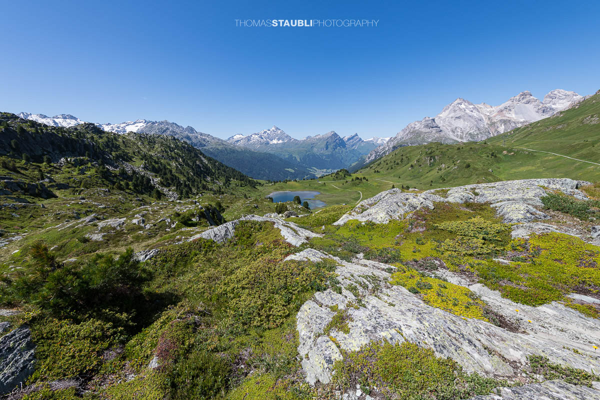 Blick auf den Lai da Vons unter wolkenlosem Himmel mit Sicht auf Pizzo Tambo, Guggernüll, Teurihorn, Steilerhorn und Alperschälihorn