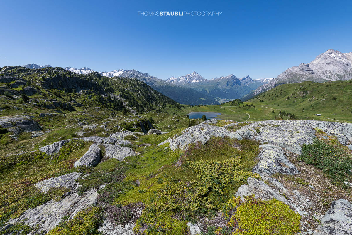 Blick auf den Lai da Vons unter wolkenlosem Himmel mit Sicht auf Pizzo Tambo, Guggernüll, Teurihorn, Steilerhorn und Alperschälihorn