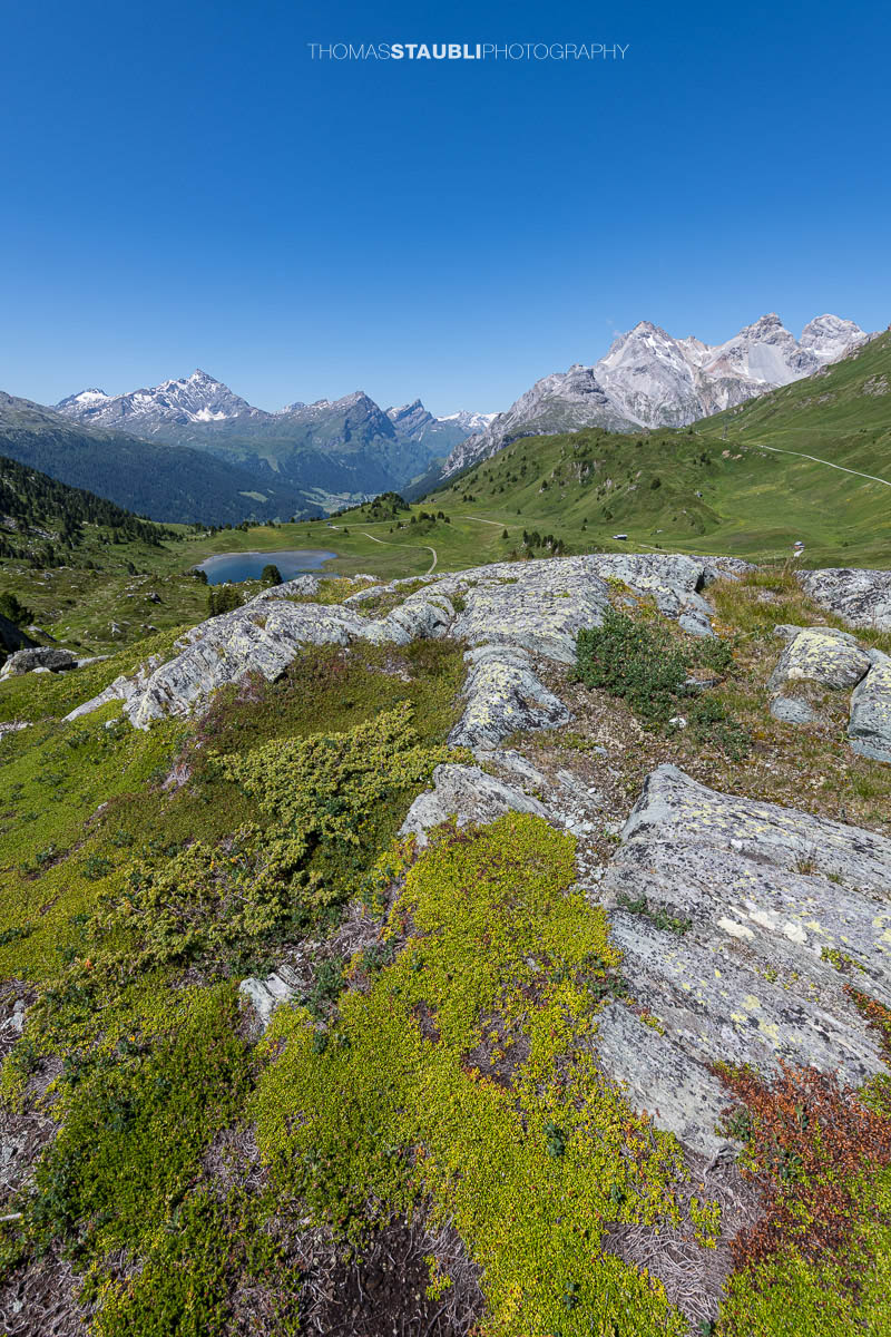 Blick auf den Lai da Vons unter wolkenlosem Himmel mit Sicht auf Pizzo Tambo, Guggernüll, Teurihorn, Steilerhorn und Alperschälihorn