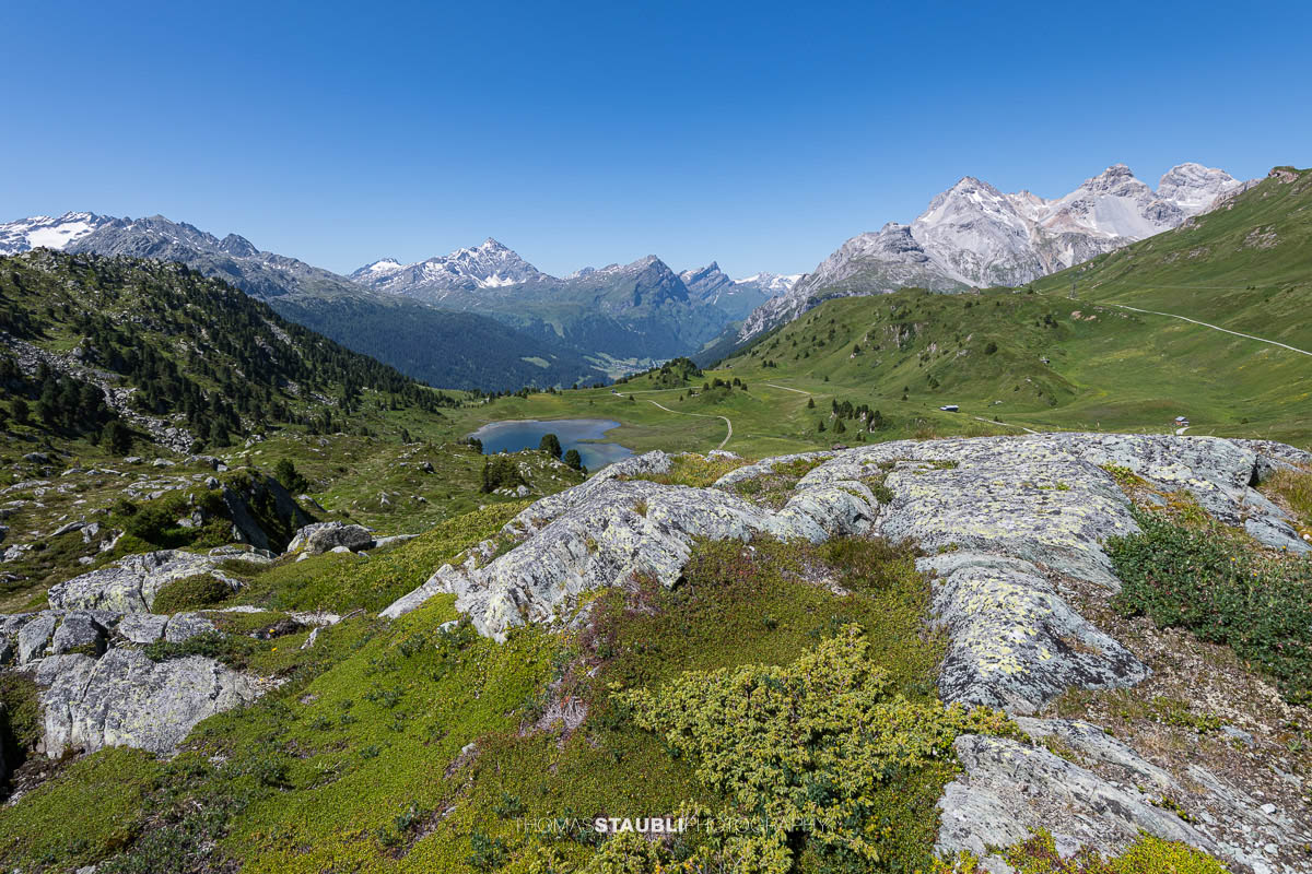 Blick auf den Lai da Vons unter wolkenlosem Himmel mit Sicht auf Pizzo Tambo, Guggernüll, Teurihorn, Steilerhorn und Alperschälihorn