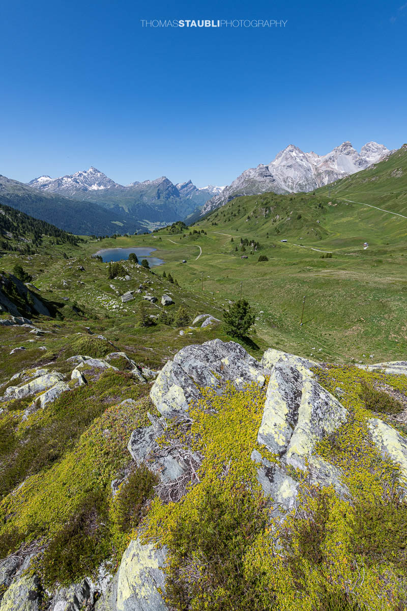 Blick auf den Lai da Vons unter wolkenlosem Himmel mit Sicht auf Pizzo Tambo, Guggernüll, Teurihorn, Steilerhorn und Alperschälihorn