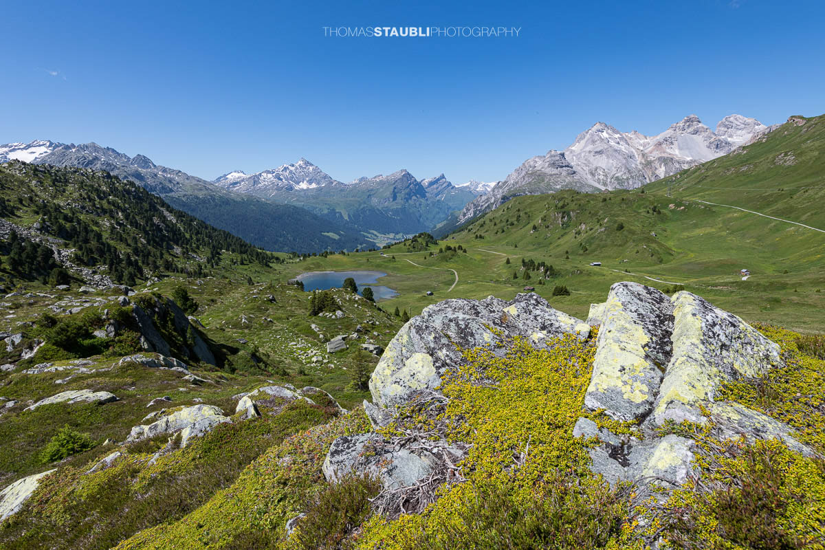 Blick auf den Lai da Vons unter wolkenlosem Himmel mit Sicht auf Pizzo Tambo, Guggernüll, Teurihorn, Steilerhorn und Alperschälihorn