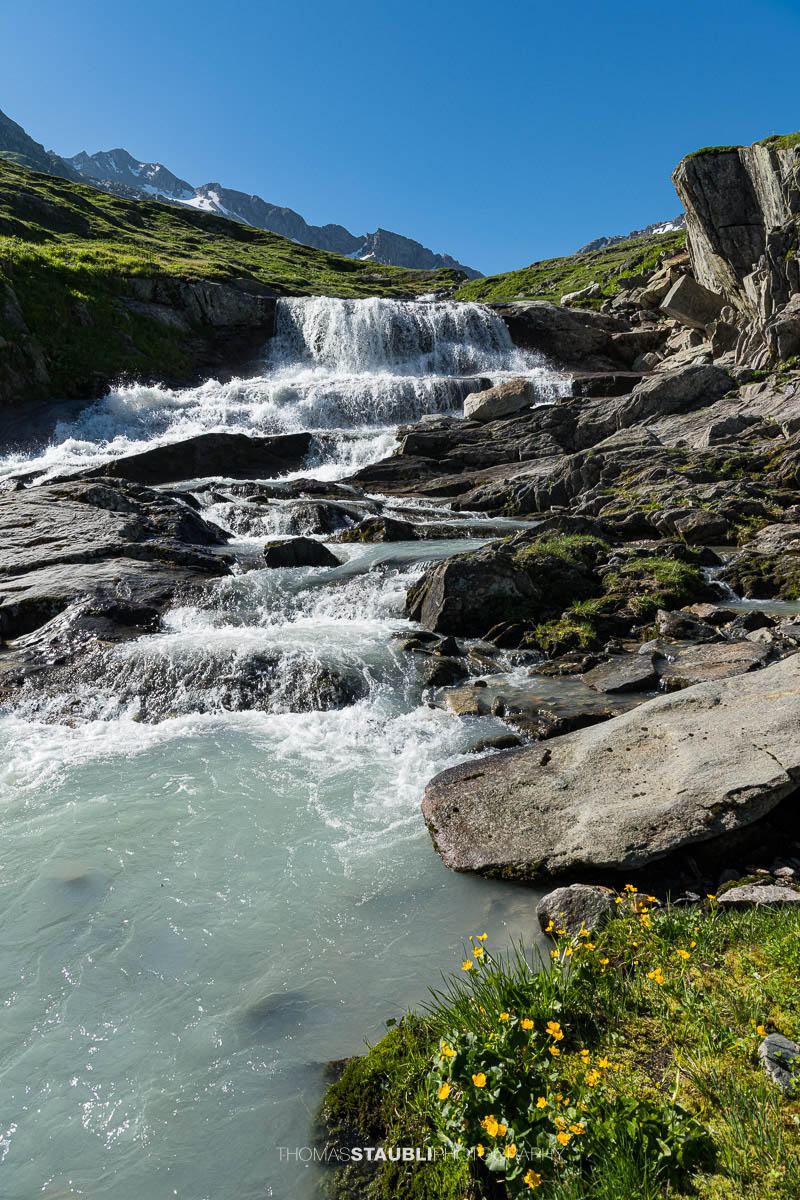 Die Witenwasserenreuss rauscht über Felsstufen durch das grüne Witenwasserental im Kanton Uri.