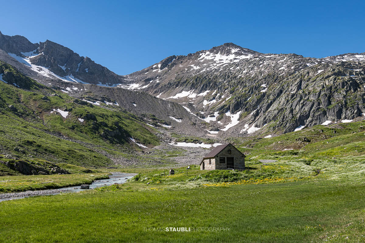 Eine einfache Alphütte steht am Ufer der Witenwasserenreuss im oberen Witenwasserental, umgeben von grünen Wiesen, Wildblumen und den schroffen Hängen der Urner Alpen.