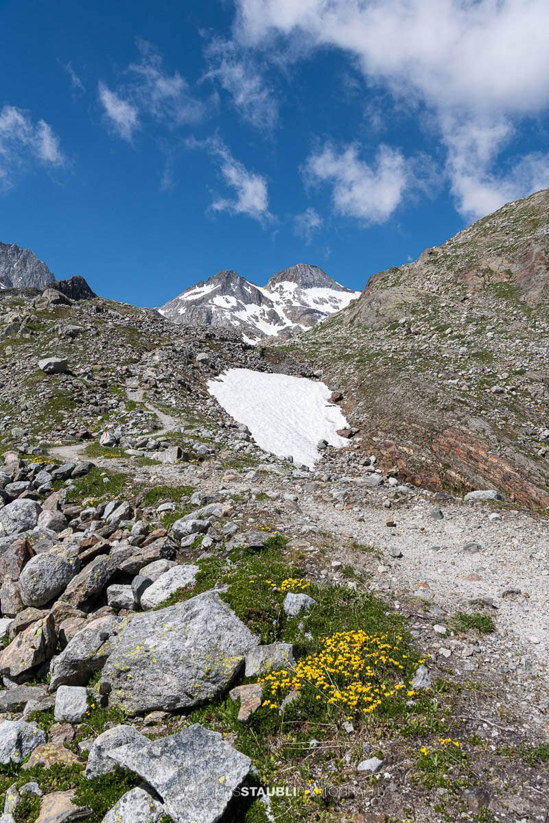 Ein alpiner Wanderweg führt über Geröll und Schneefelder durch die hochalpine Landschaft des Witenwasserentals, mit Blick auf die Gipfel rund um den Witenwasserenstock.