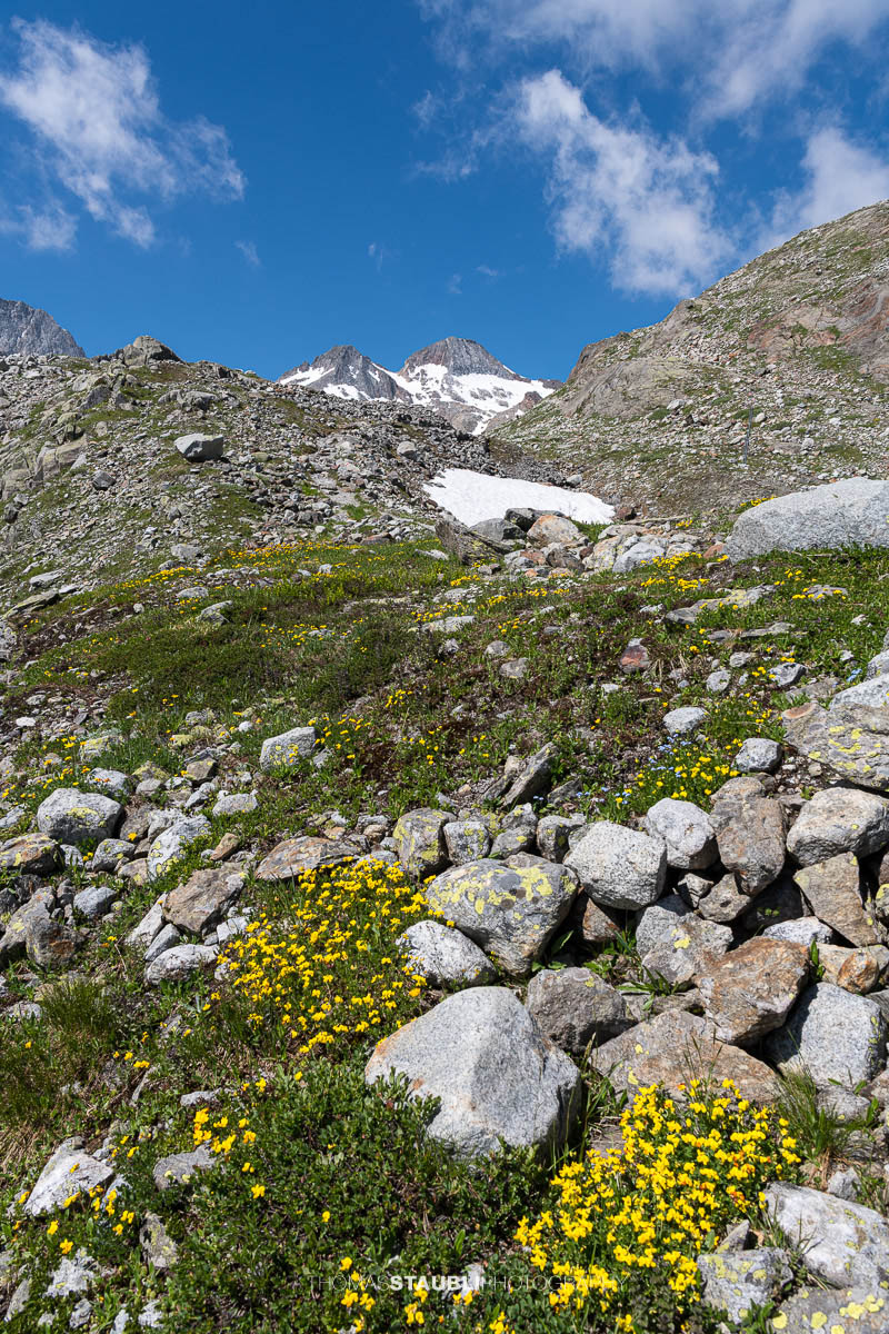 Ein alpiner Wanderweg führt über Geröll und Schneefelder durch die hochalpine Landschaft des Witenwasserentals, mit Blick auf die Gipfel rund um den Witenwasserenstock.