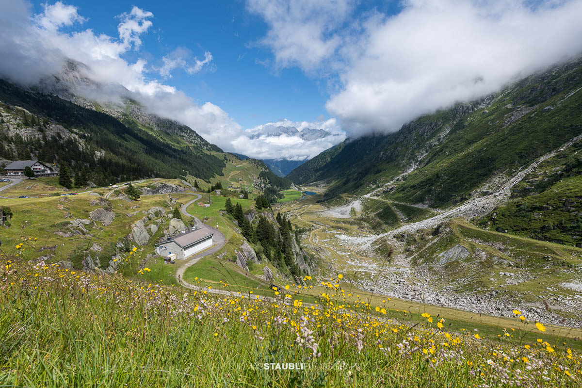 Blick von der Göscheneralp ins Göschenertal mit grünen Berghängen, blühender Wiese im Vordergrund, kurviger Strasse und Wolken, die über den Gipfeln hängen.