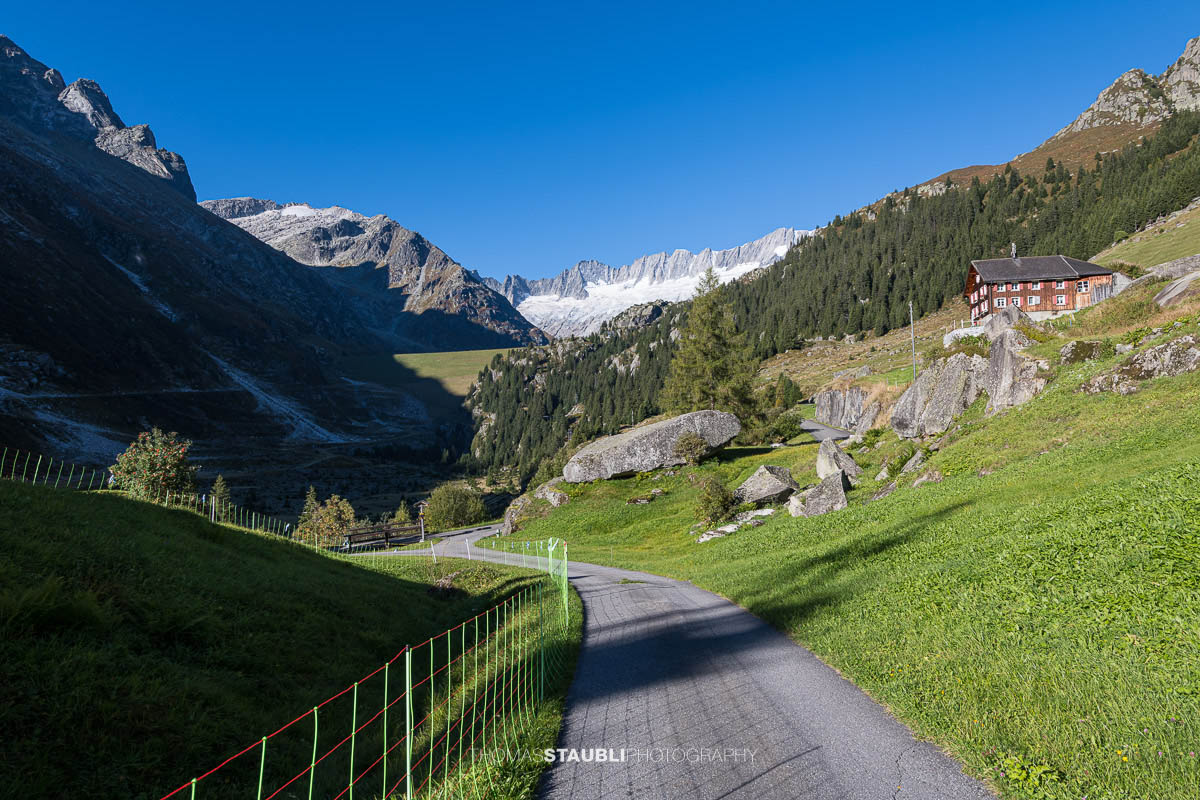 Grüne Alpweiden in der Göscheneralp im Kanton Uri, im Hintergrund das Gletschergebiet am Dammastock.