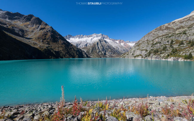 Blick über den türkisfarbenen Göscheneralpsee im Kanton Uri, umrahmt von steilen Felsflanken und den schneebedeckten Gipfeln des Dammastockmassivs im Hintergrund.