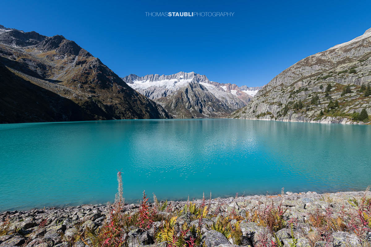 Blick über den türkisfarbenen Göscheneralpsee im Kanton Uri, umrahmt von steilen Felsflanken und den schneebedeckten Gipfeln des Dammastockmassivs im Hintergrund.