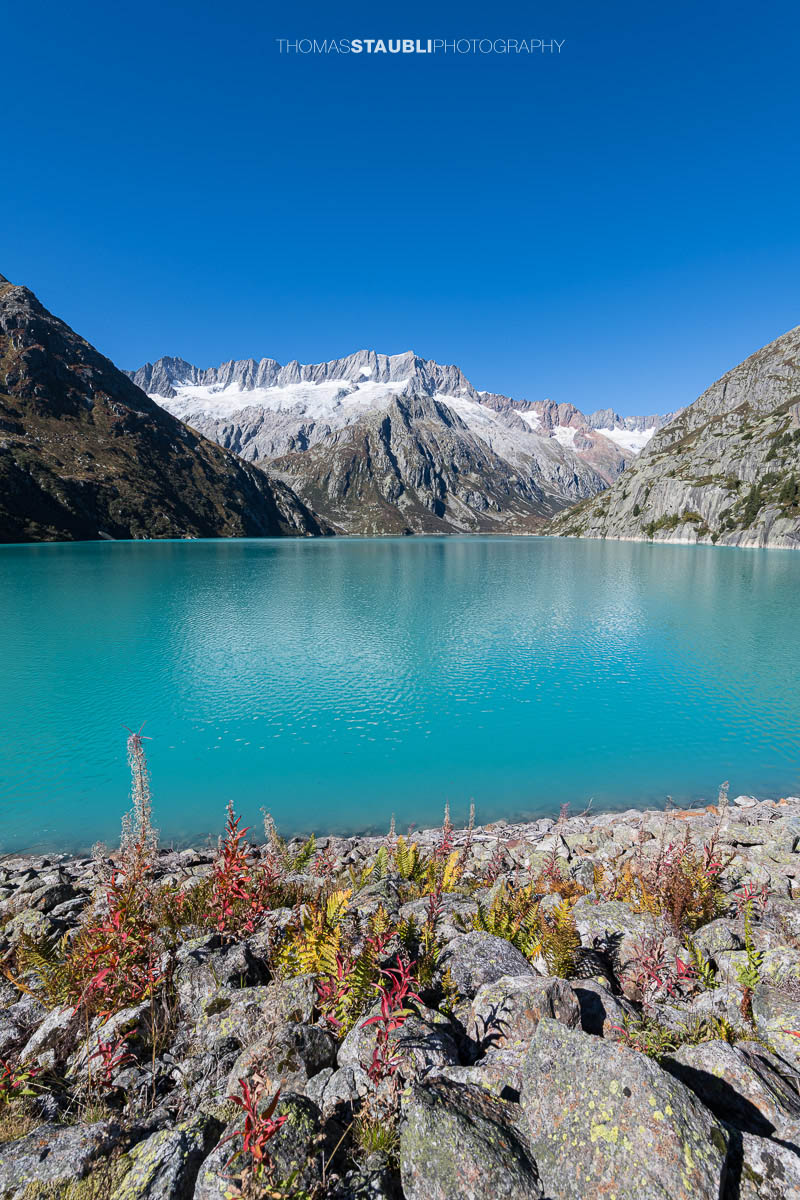 Blick über den türkisfarbenen Göscheneralpsee im Kanton Uri, umrahmt von steilen Felsflanken und den schneebedeckten Gipfeln des Dammastockmassivs im Hintergrund.