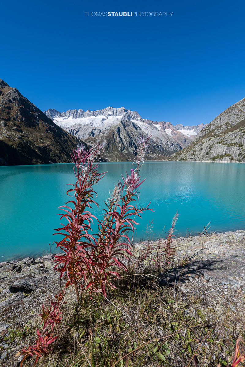 Blick über den türkisfarbenen Göscheneralpsee im Kanton Uri, umrahmt von steilen Felsflanken und den schneebedeckten Gipfeln des Dammastockmassivs im Hintergrund.