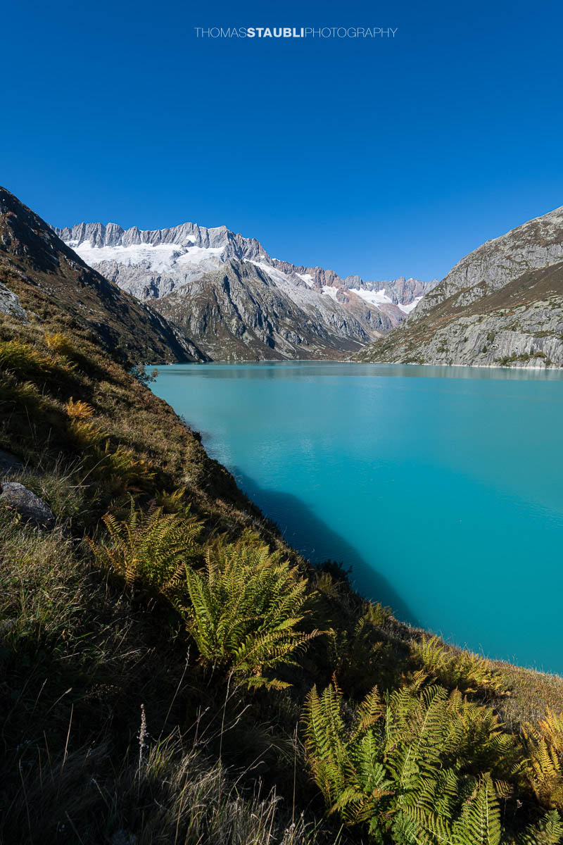 Blick über den türkisfarbenen Göscheneralpsee im Kanton Uri, umrahmt von steilen Felsflanken und den schneebedeckten Gipfeln des Dammastockmassivs im Hintergrund.