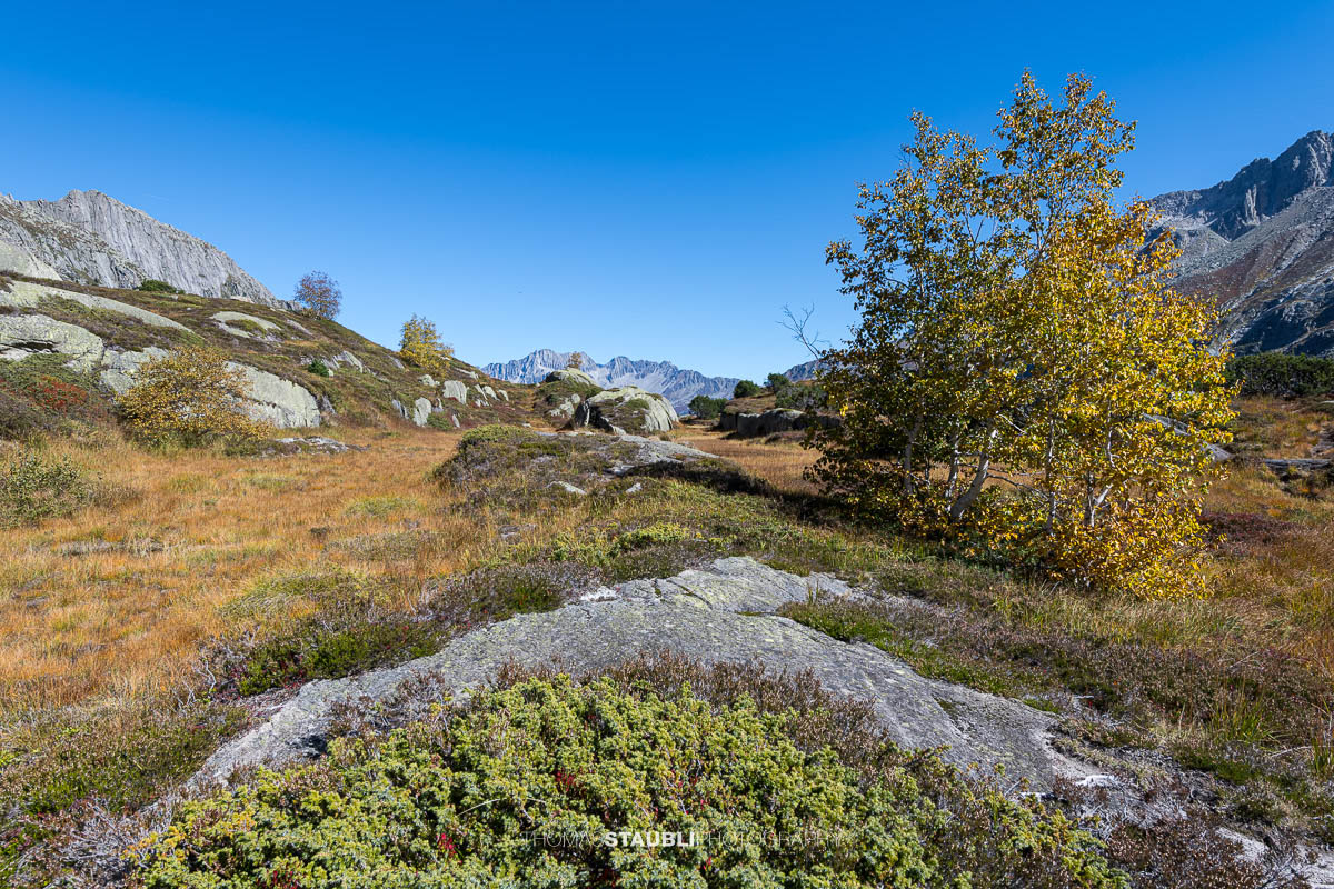 Herbstag in der Göscheneralp mit Blick ins Göschenertal