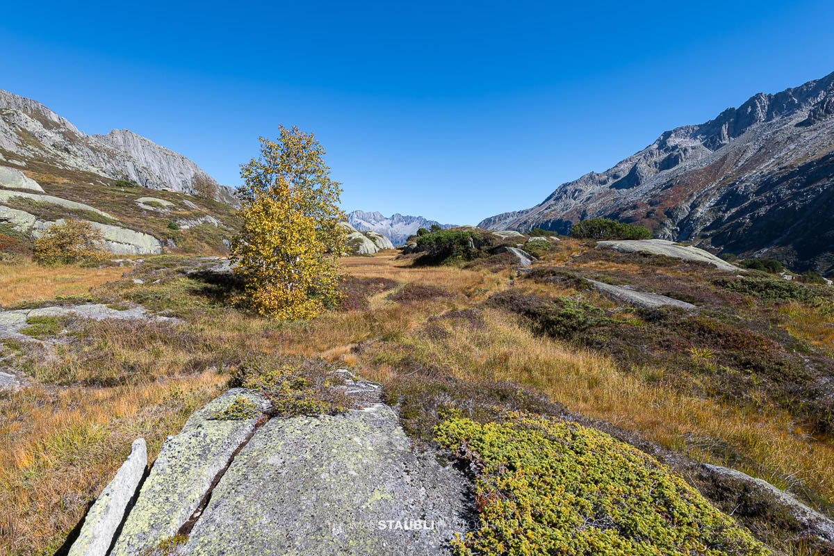 Herbstag in der Göscheneralp mit Blick ins Göschenertal