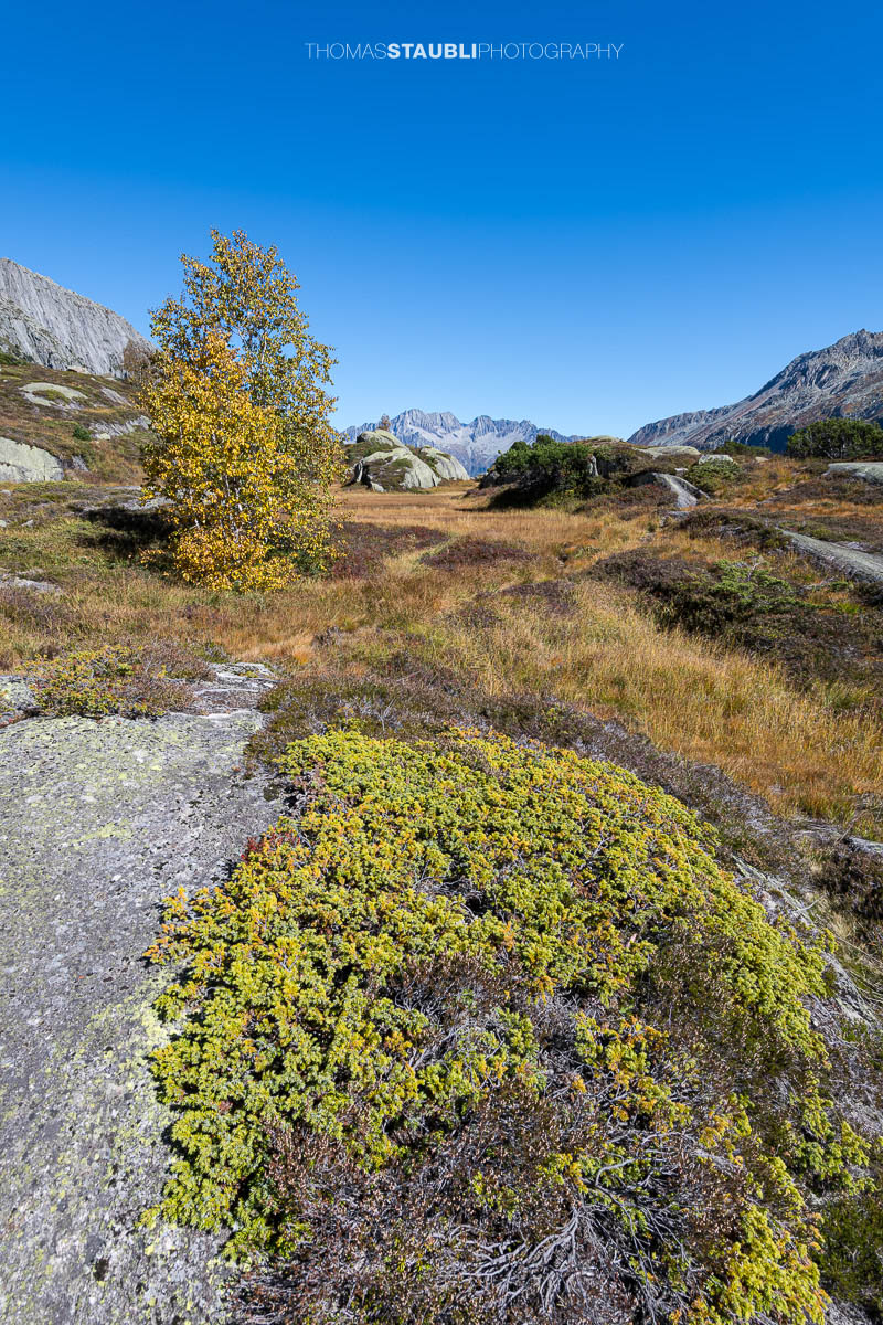 Herbstag in der Göscheneralp mit Blick ins Göschenertal