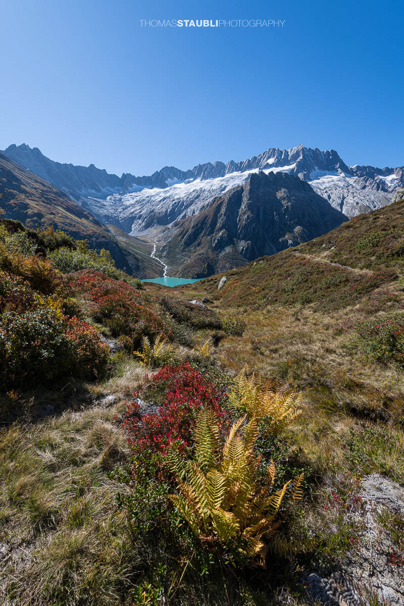 Herbstag in der Göscheneralp mit Blick zum Dammastock