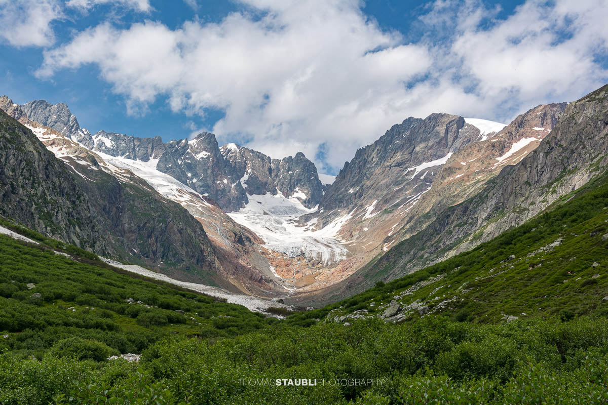 Blick durchs Chelenalptal im Kanton Uri mit alpiner Vegetation im Vordergrund und dem Chelengletscher unterhalb des Winterbergmassivs im Hintergrund.