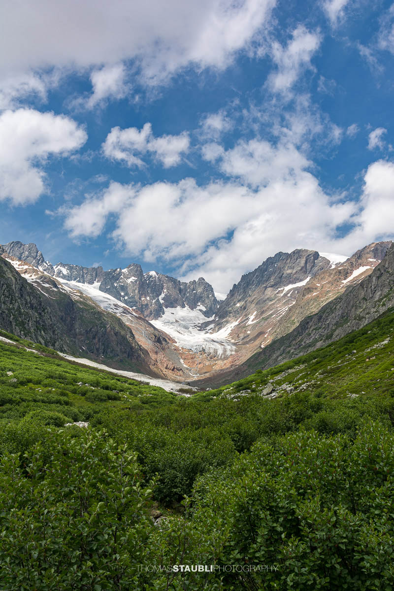 Blick durchs Chelenalptal im Kanton Uri mit alpiner Vegetation im Vordergrund und dem Chelengletscher unterhalb des Winterbergmassivs im Hintergrund.
