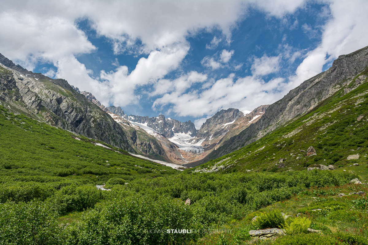 Blick durchs Chelenalptal im Kanton Uri mit alpiner Vegetation im Vordergrund und dem Chelengletscher unterhalb des Winterbergmassivs im Hintergrund.