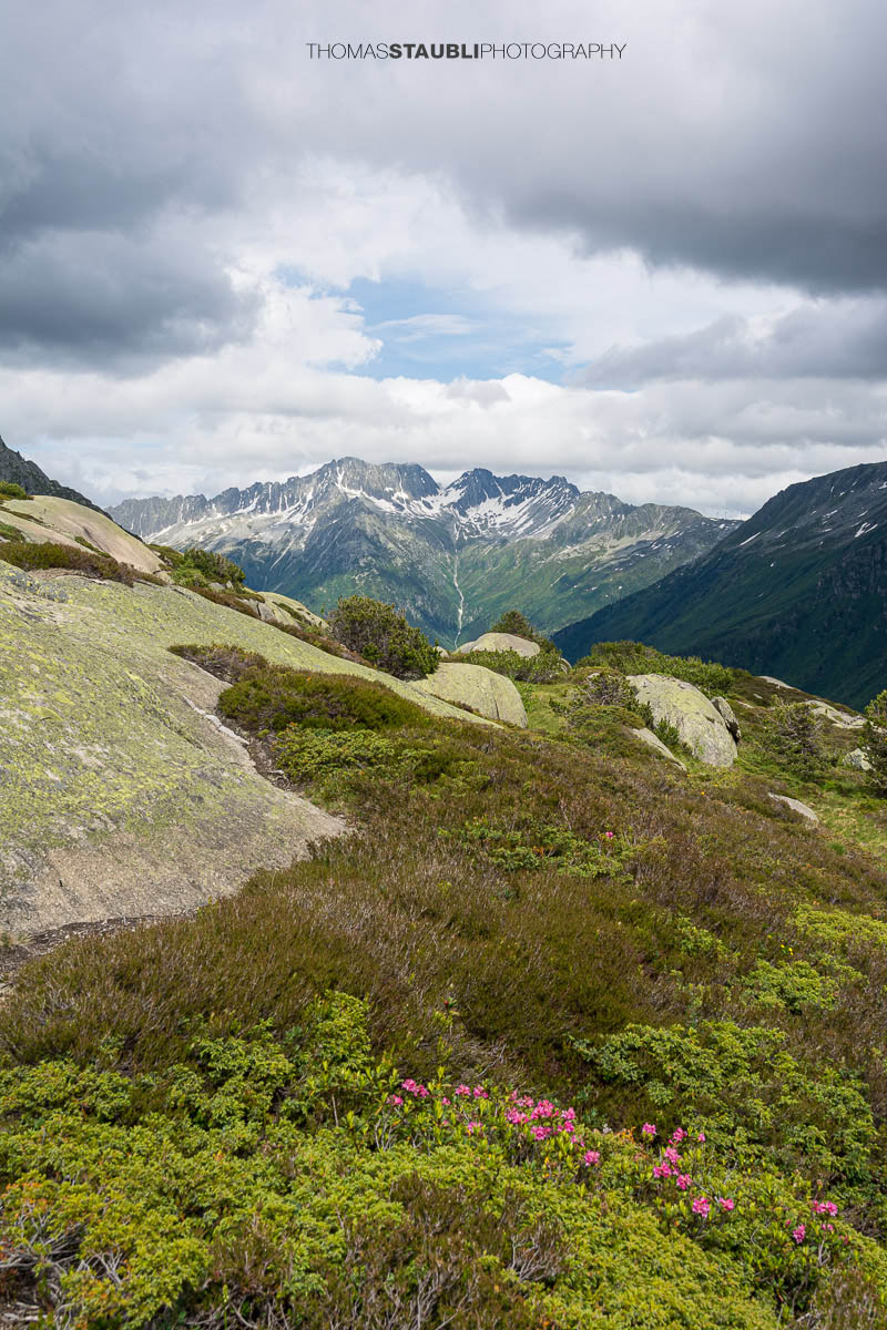 Blick talauswärts von der Göscheneralp im Kanton Uri. Ein schmaler Bergpfad führt über Felsplatten und durch alpine Vegetation, umgeben von steilen Berghängen und einer wechselhaften Wolkenstimmung.