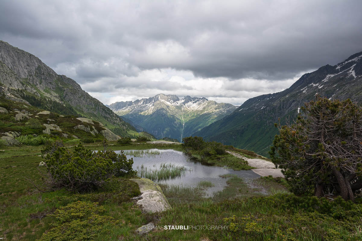 Blick talauswärts von der Göscheneralp im Kanton Uri. Ein schmaler Bergpfad führt über Felsplatten und durch alpine Vegetation, umgeben von steilen Berghängen und einer wechselhaften Wolkenstimmung.