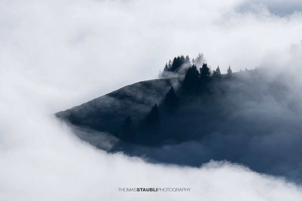 Ein bewaldeter Berghügel ragt im Appenzellerland aus einem dichten Nebelmeer, während Sonnenlicht die Nebelschwaden sanft um die Baumkronen legt.