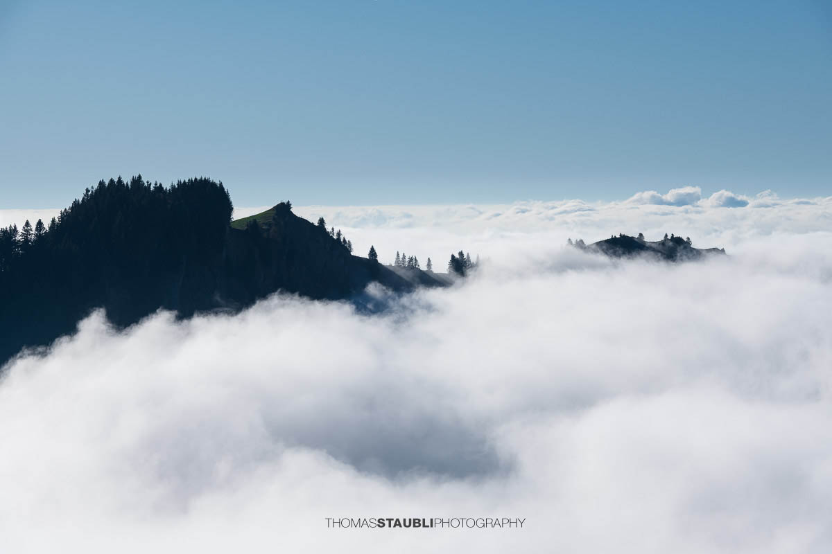 Ein bewaldeter Berghügel ragt im Appenzellerland aus einem dichten Nebelmeer, während Sonnenlicht die Nebelschwaden sanft um die Baumkronen legt.