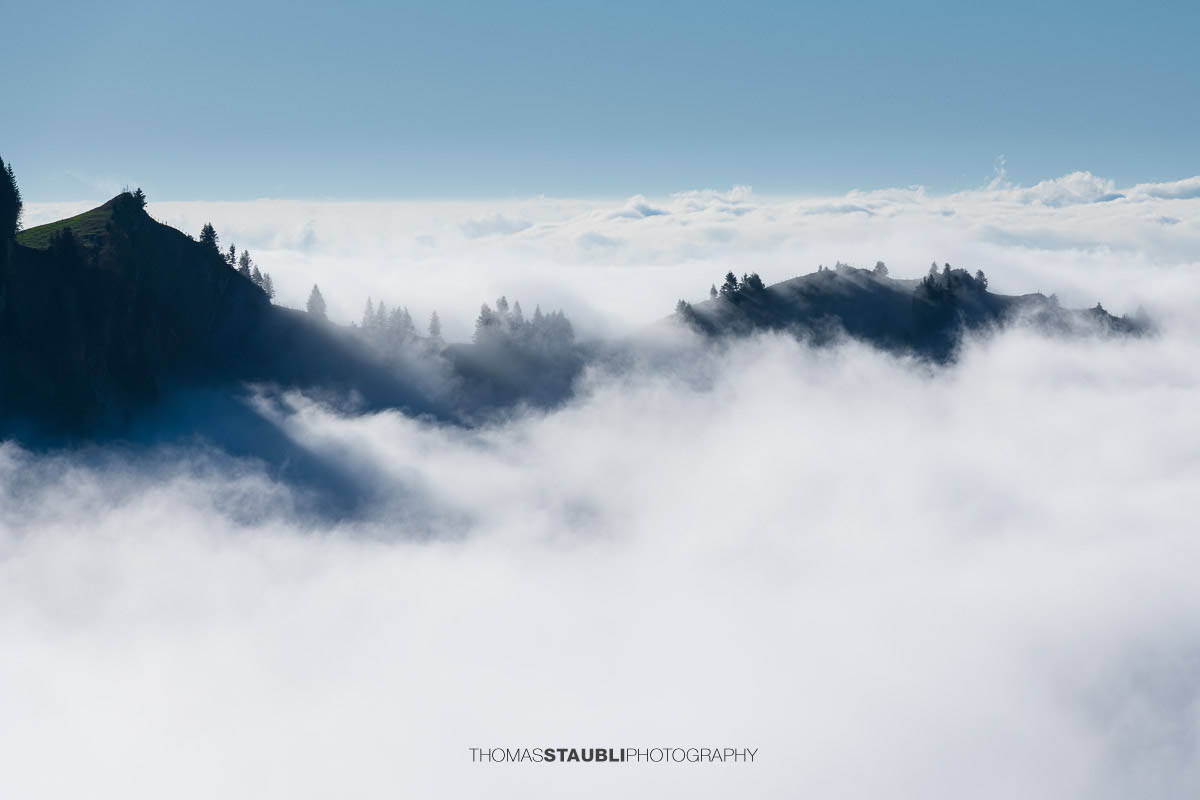 Ein bewaldeter Berghügel ragt im Appenzellerland aus einem dichten Nebelmeer, während Sonnenlicht die Nebelschwaden sanft um die Baumkronen legt.