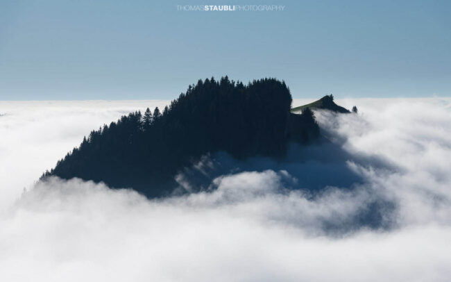 Ein bewaldeter Berghügel ragt im Appenzellerland aus einem dichten Nebelmeer, während Sonnenlicht die Nebelschwaden sanft um die Baumkronen legt.