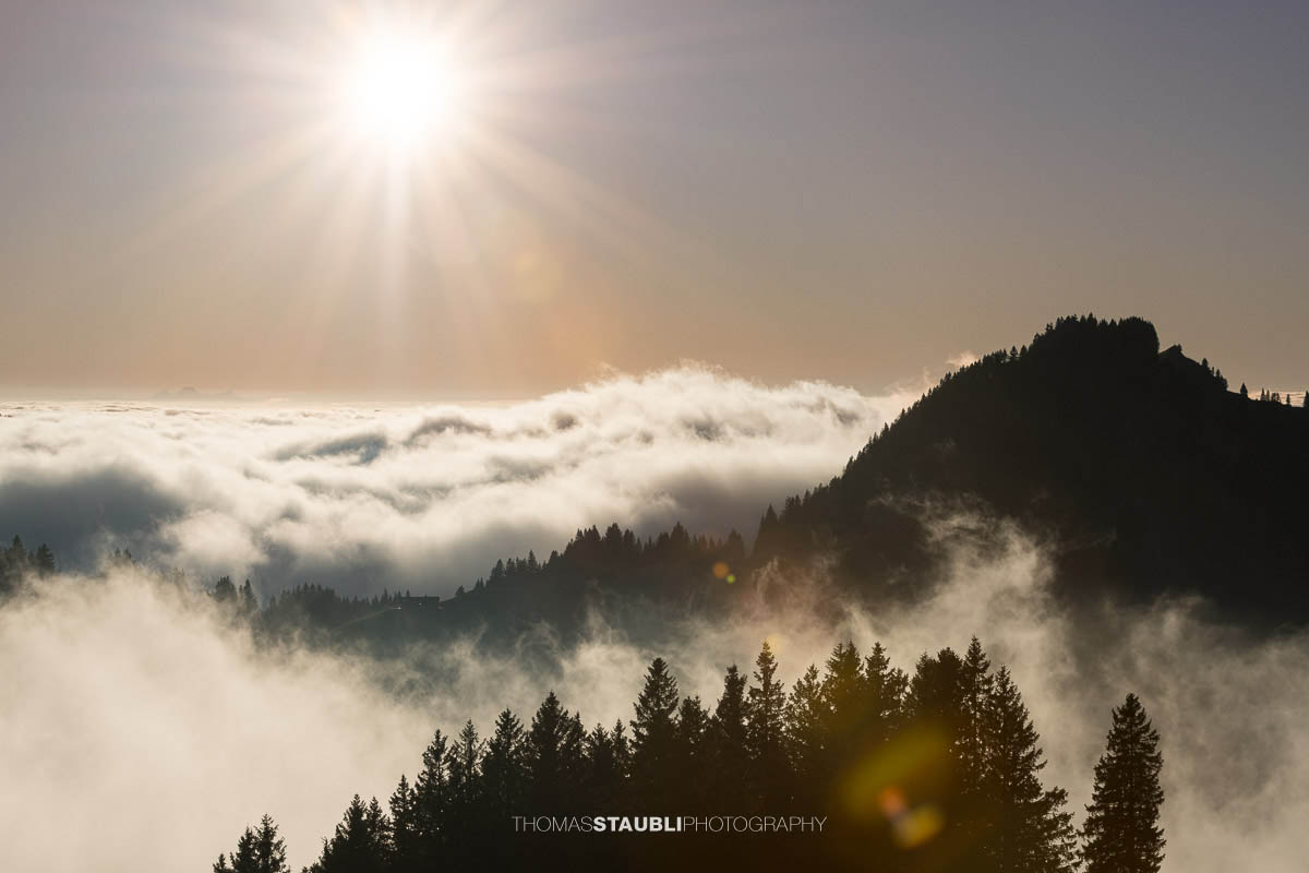 Warme Abendsonne taucht den Kronberg in goldenes Licht, während Nebelschwaden über den bewaldeten Hängen aufsteigen und sich ein stilles Nebelmeer über dem Appenzellerland ausbreitet.