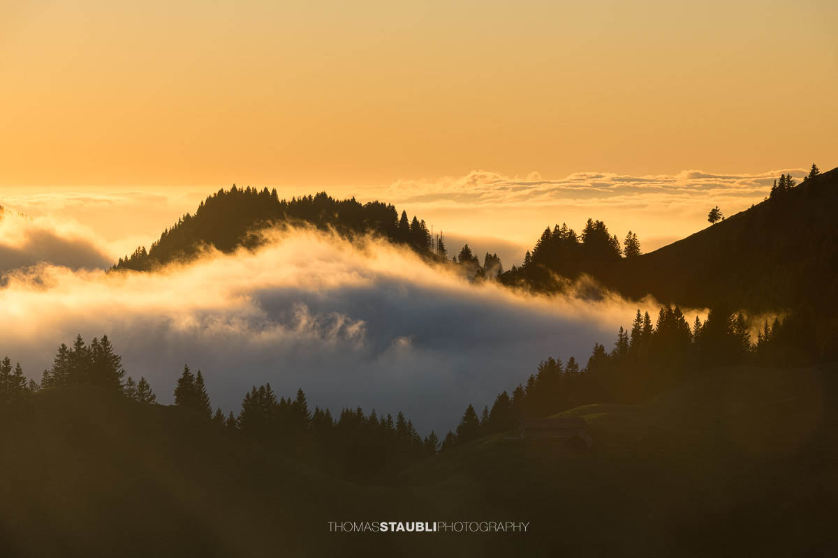 Warme Abendsonne taucht den Kronberg in goldenes Licht, während Nebelschwaden über den bewaldeten Hängen aufsteigen und sich ein stilles Nebelmeer über dem Appenzellerland ausbreitet.