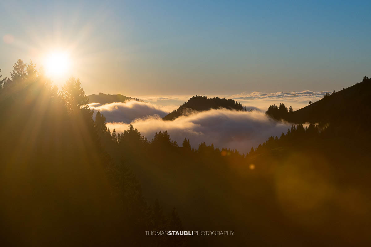 Warme Abendsonne taucht den Kronberg in goldenes Licht, während Nebelschwaden über den bewaldeten Hängen aufsteigen und sich ein stilles Nebelmeer über dem Appenzellerland ausbreitet.