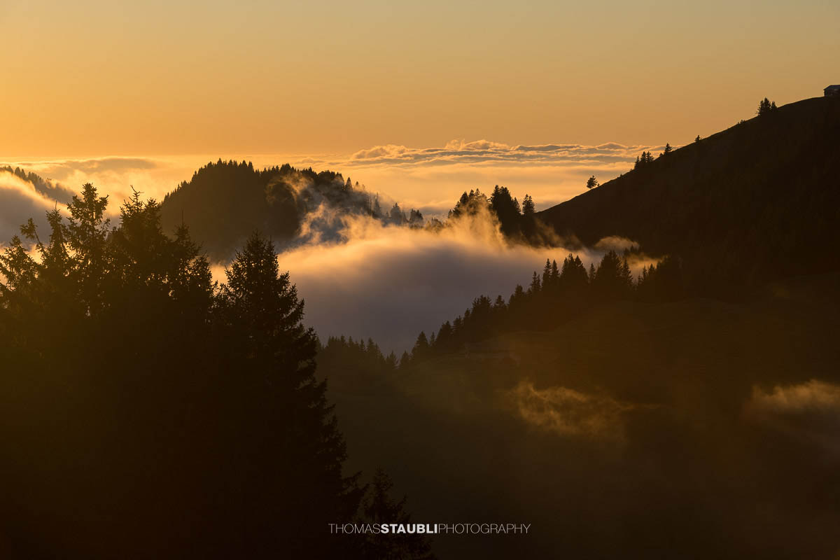 Warme Abendsonne taucht den Kronberg in goldenes Licht, während Nebelschwaden über den bewaldeten Hängen aufsteigen und sich ein stilles Nebelmeer über dem Appenzellerland ausbreitet.