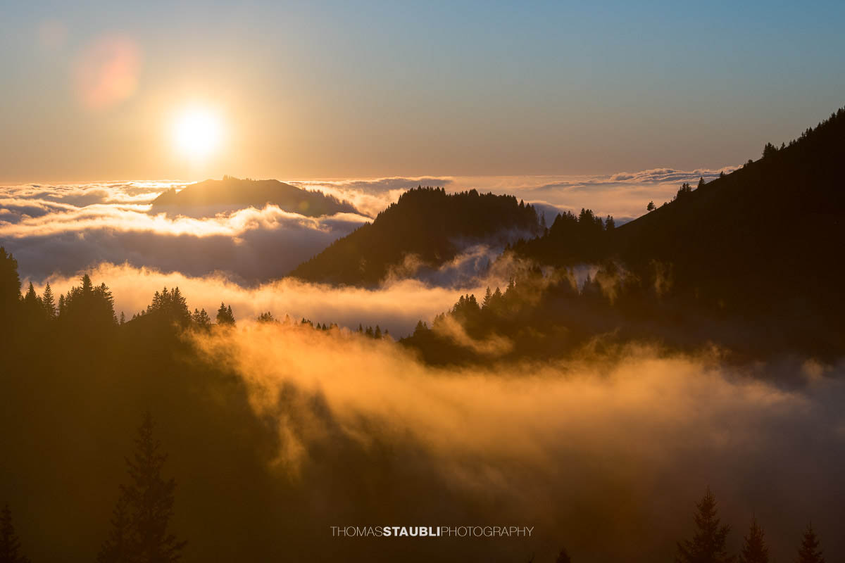 Warme Abendsonne taucht den Kronberg in goldenes Licht, während Nebelschwaden über den bewaldeten Hängen aufsteigen und sich ein stilles Nebelmeer über dem Appenzellerland ausbreitet.