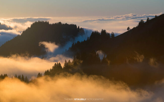 Warme Abendsonne taucht den Kronberg in goldenes Licht, während Nebelschwaden über den bewaldeten Hängen aufsteigen und sich ein stilles Nebelmeer über dem Appenzellerland ausbreitet.