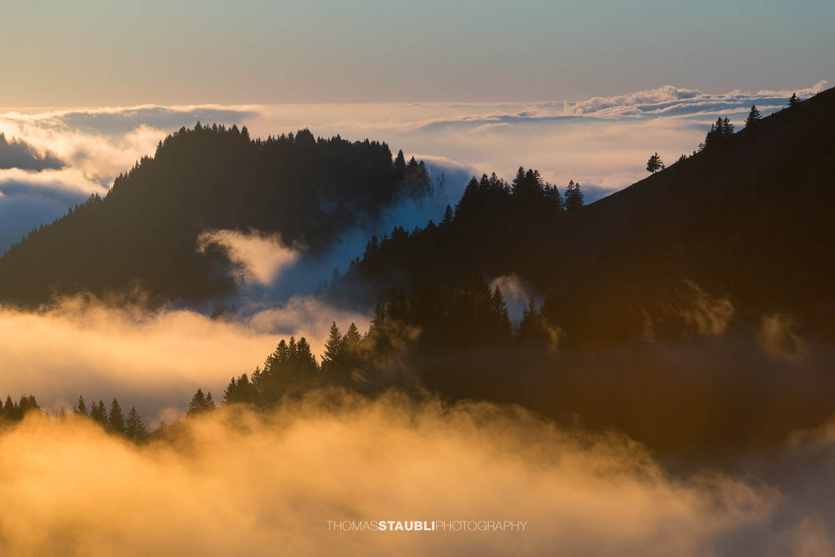 Warme Abendsonne taucht den Kronberg in goldenes Licht, während Nebelschwaden über den bewaldeten Hängen aufsteigen und sich ein stilles Nebelmeer über dem Appenzellerland ausbreitet.