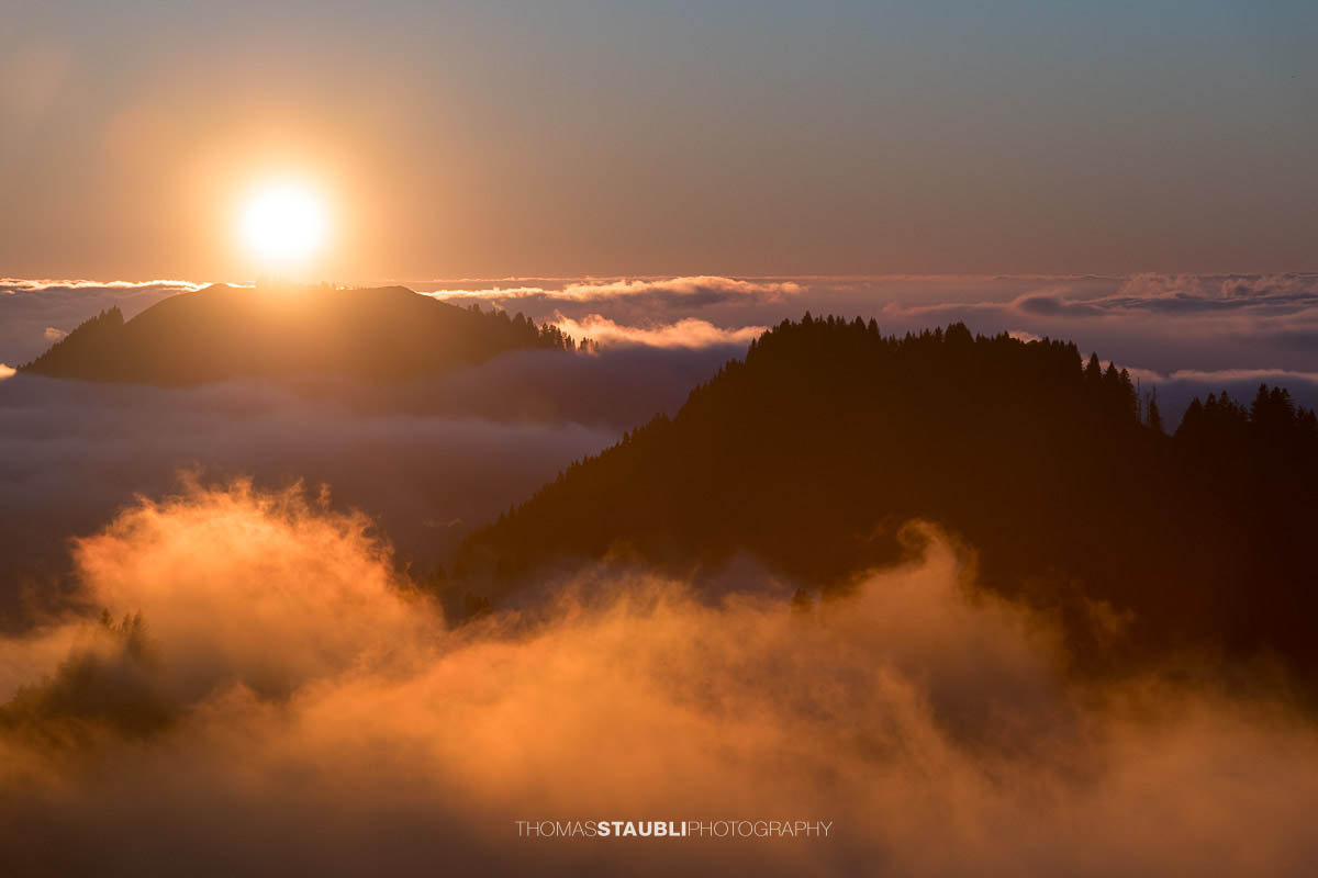 Warme Abendsonne taucht den Kronberg in goldenes Licht, während Nebelschwaden über den bewaldeten Hängen aufsteigen und sich ein stilles Nebelmeer über dem Appenzellerland ausbreitet.