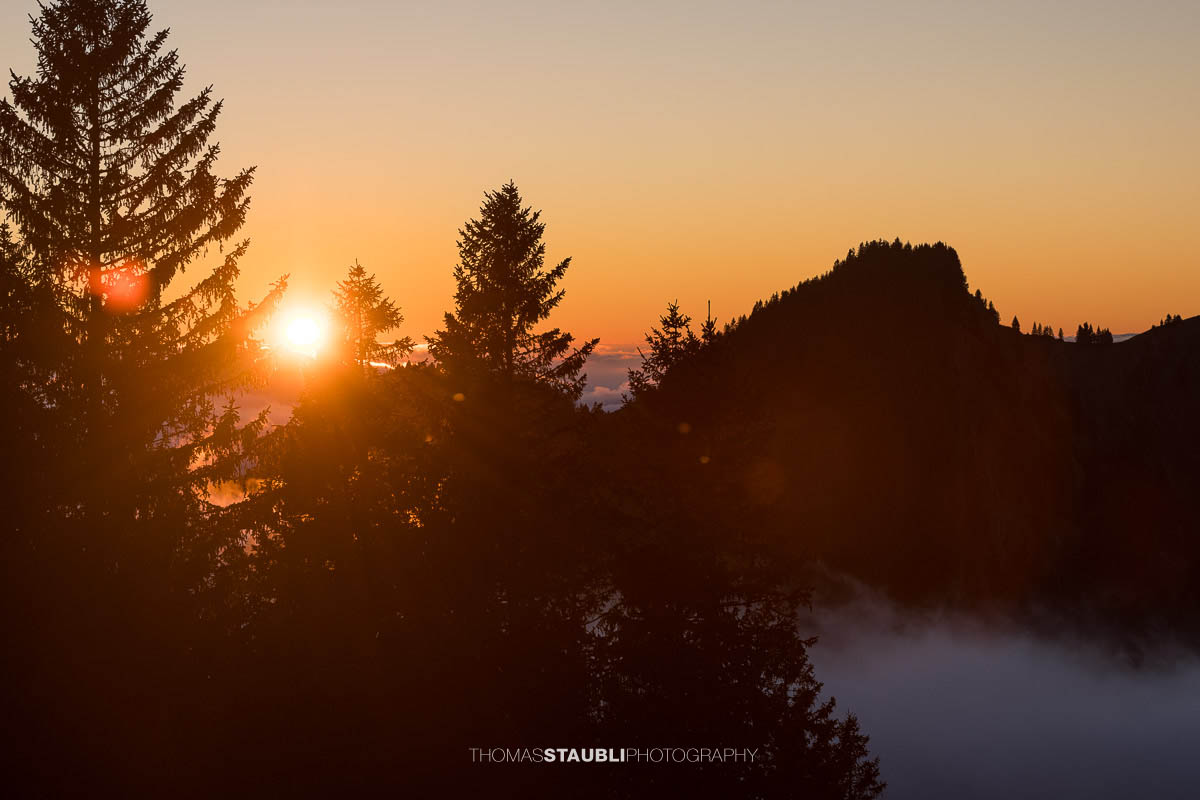 Blick vom Kronberggrat im warmen Licht des Sonnenuntergangs, mit dunklen Silhouetten der Tannen und des benachbarten Berggipfels vor einem orange leuchtenden Himmel.